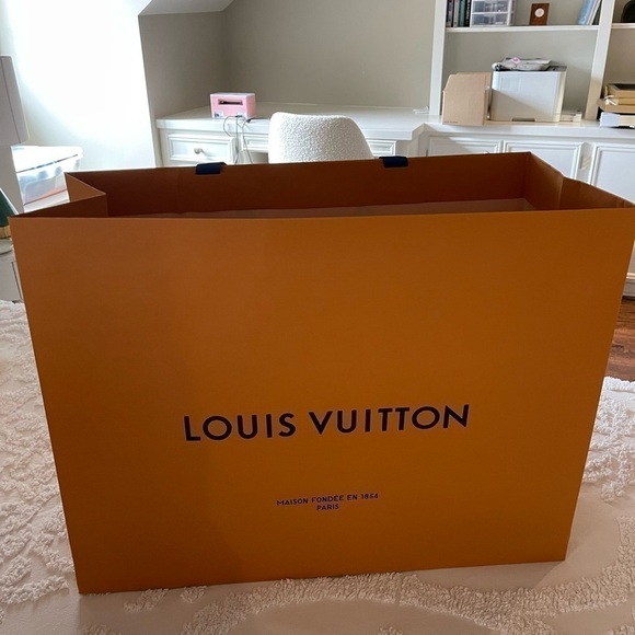 LOUIS Vuitton bag - Picture 1 of 5